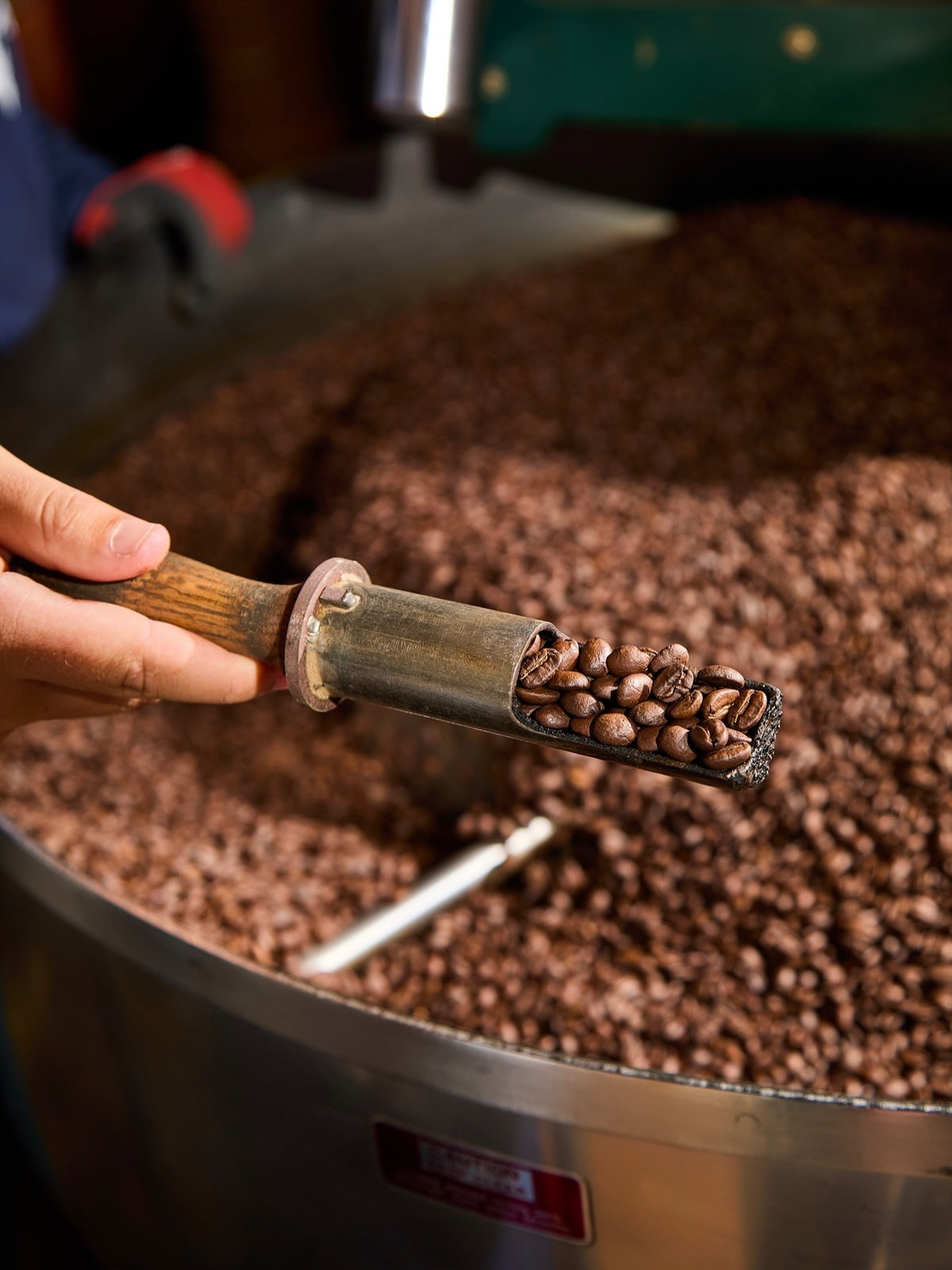 A scoop of coffee beans over the roasting tray at Baby’s Coffee